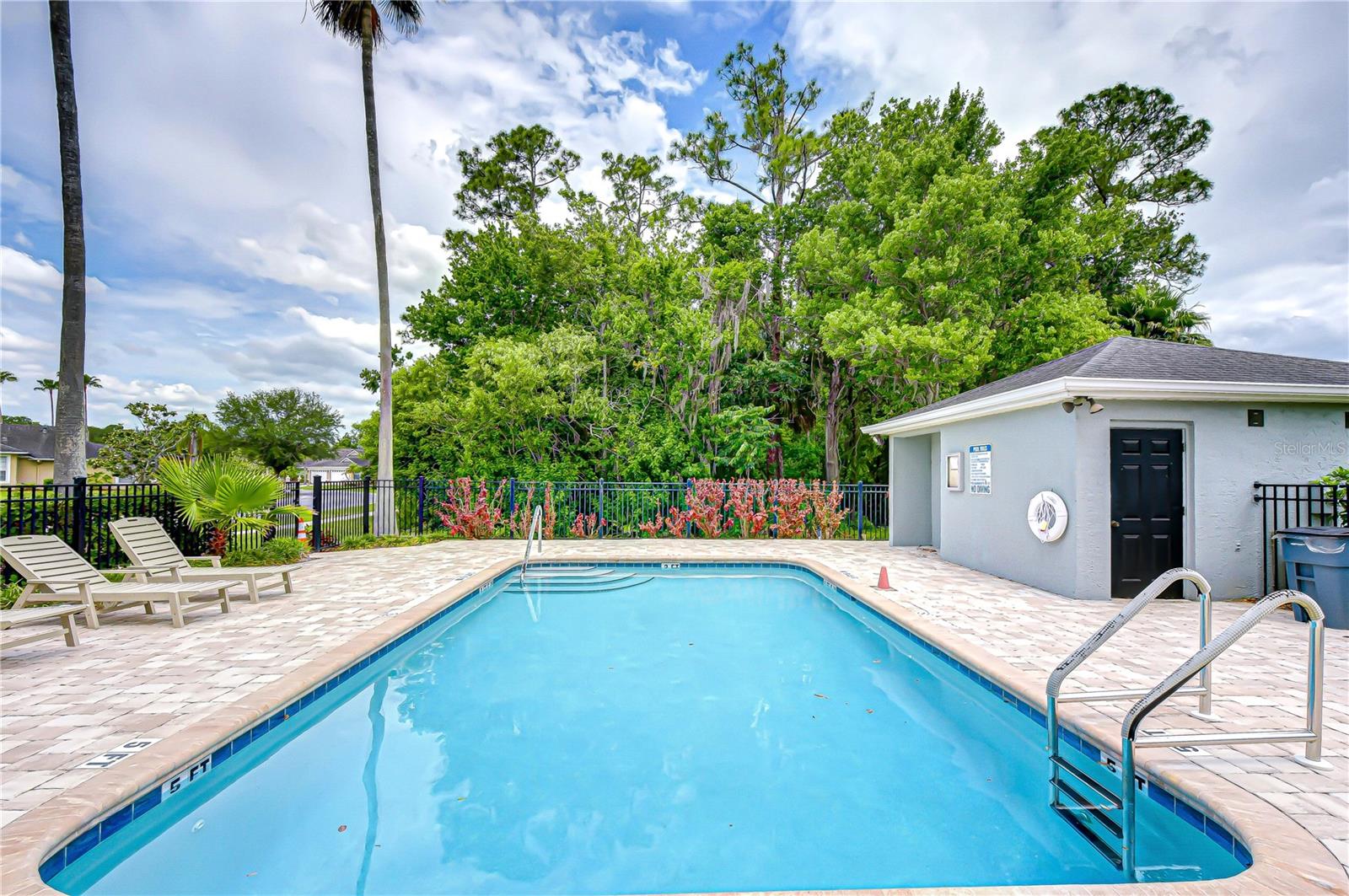 9815 GINGERWOOD DR — photo 46