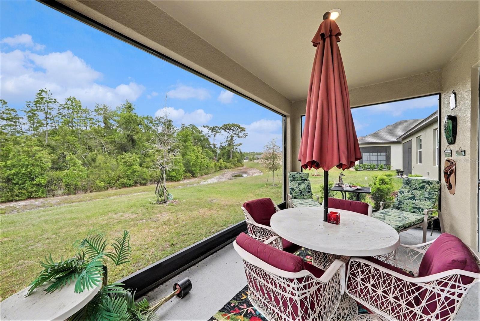 10395 BANYAN BREEZE BLVD — photo 41