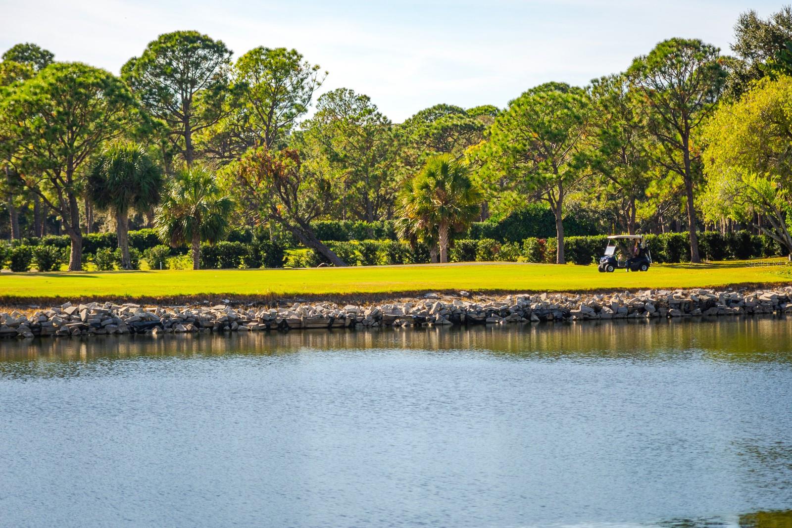 2620 COVE CAY DR #904 — photo 55