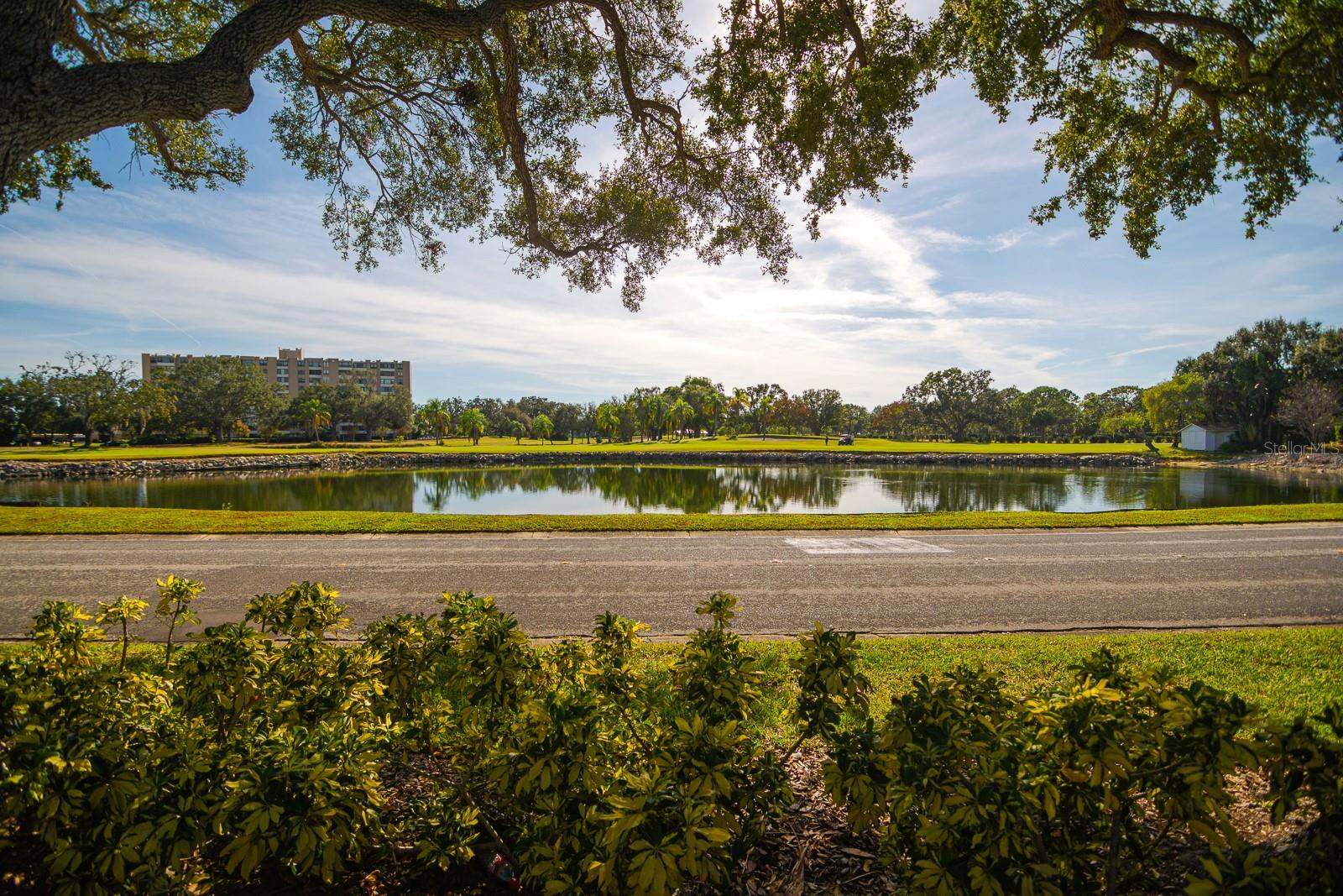 2620 COVE CAY DR #904 — photo 47