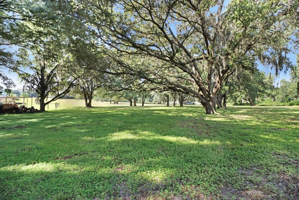 11634 DAVIS POOL RD — photo 44
