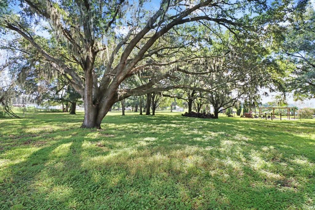 11634 DAVIS POOL RD — photo 43