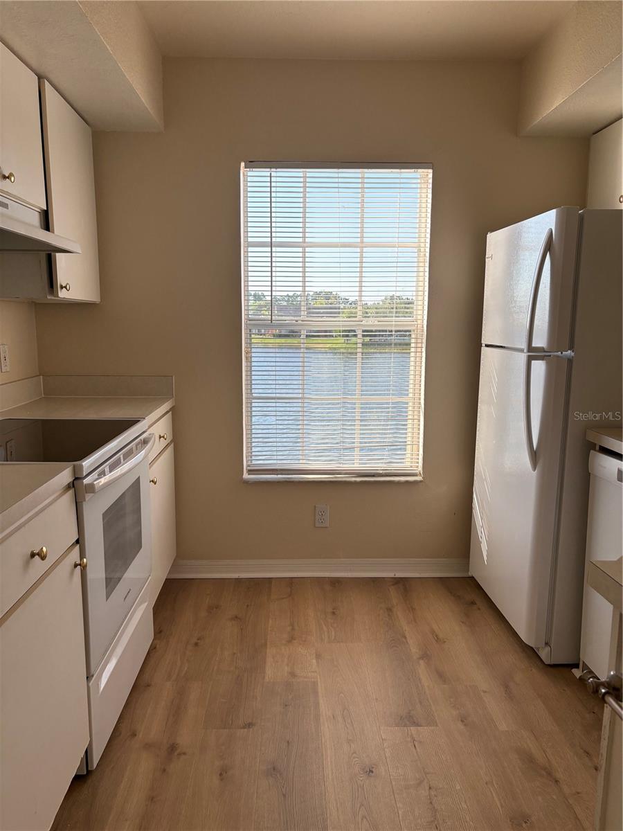 9832 LAKE CHASE ISLAND WAY — photo 9