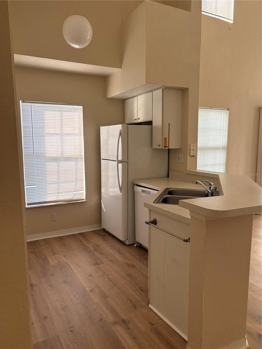 9832 LAKE CHASE ISLAND WAY — photo 5