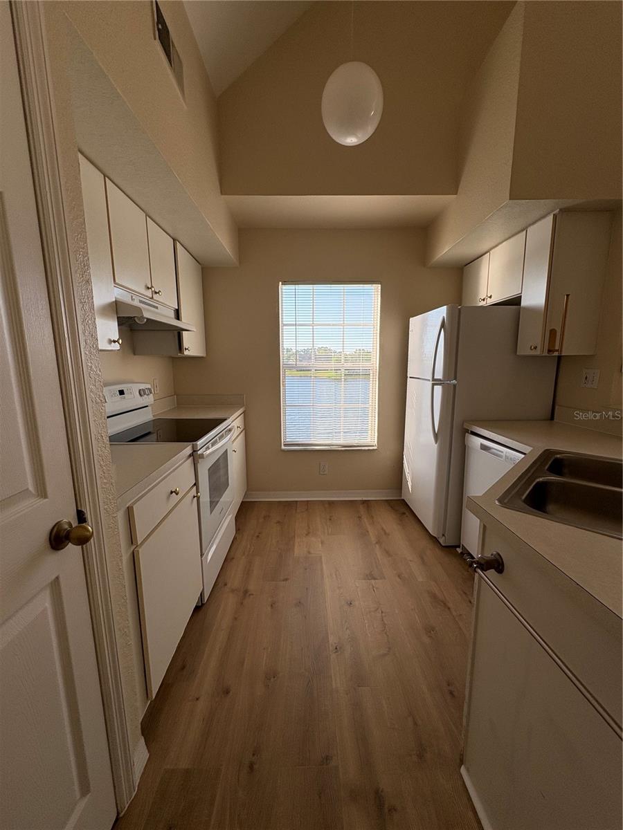 9832 LAKE CHASE ISLAND WAY — photo 8