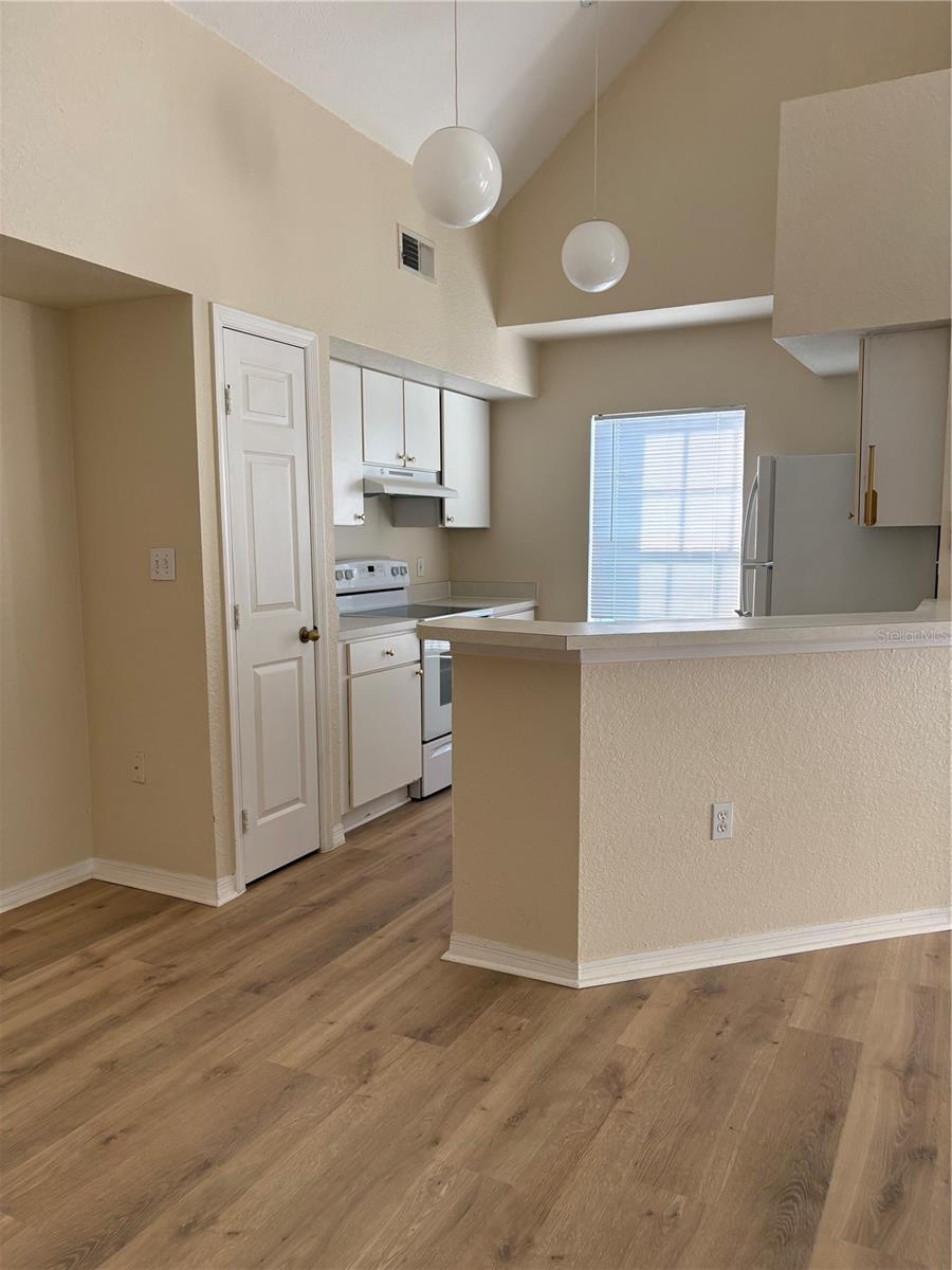 9832 LAKE CHASE ISLAND WAY — photo 4