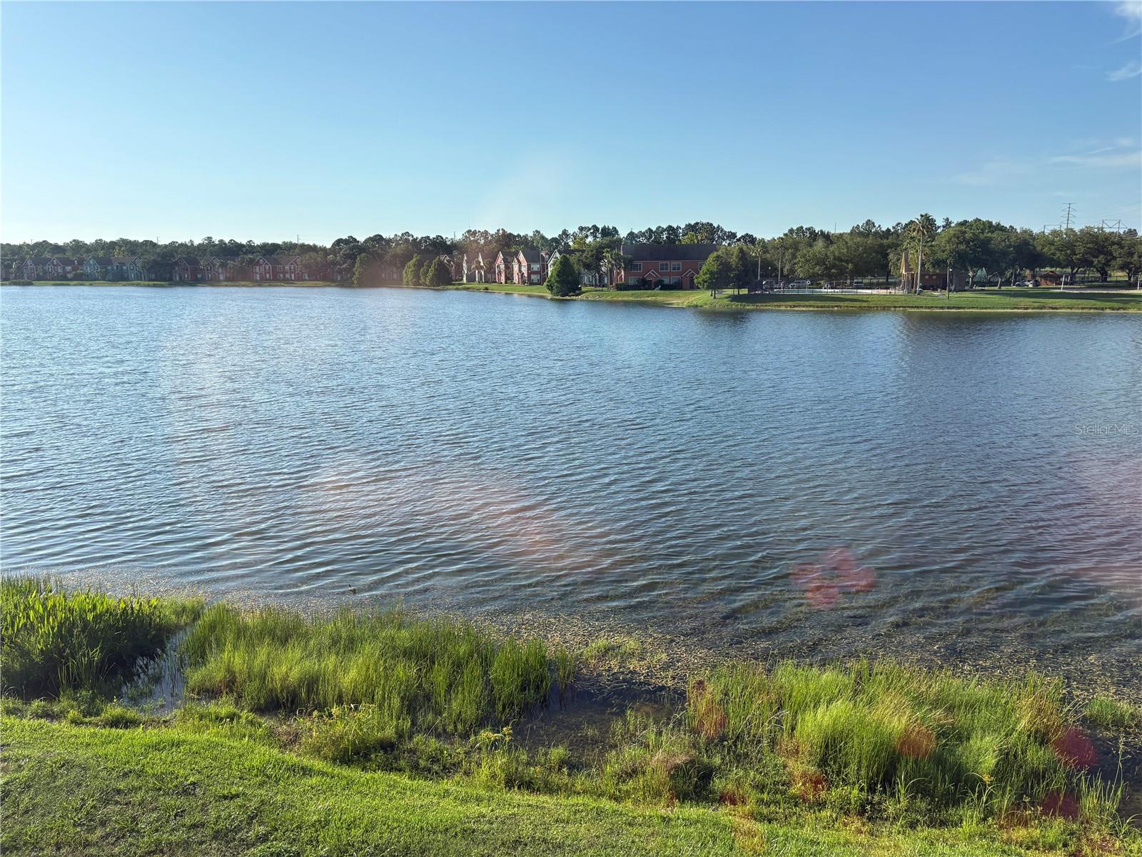 9832 LAKE CHASE ISLAND WAY — photo 23