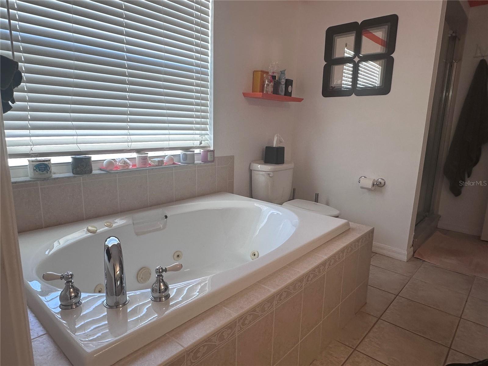 10632 LAKE VISTA DR — photo 26