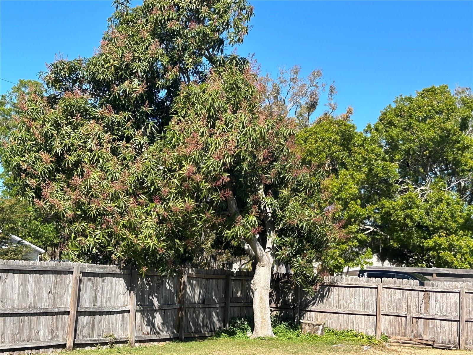 4722 HARRIS AVE — photo 21
