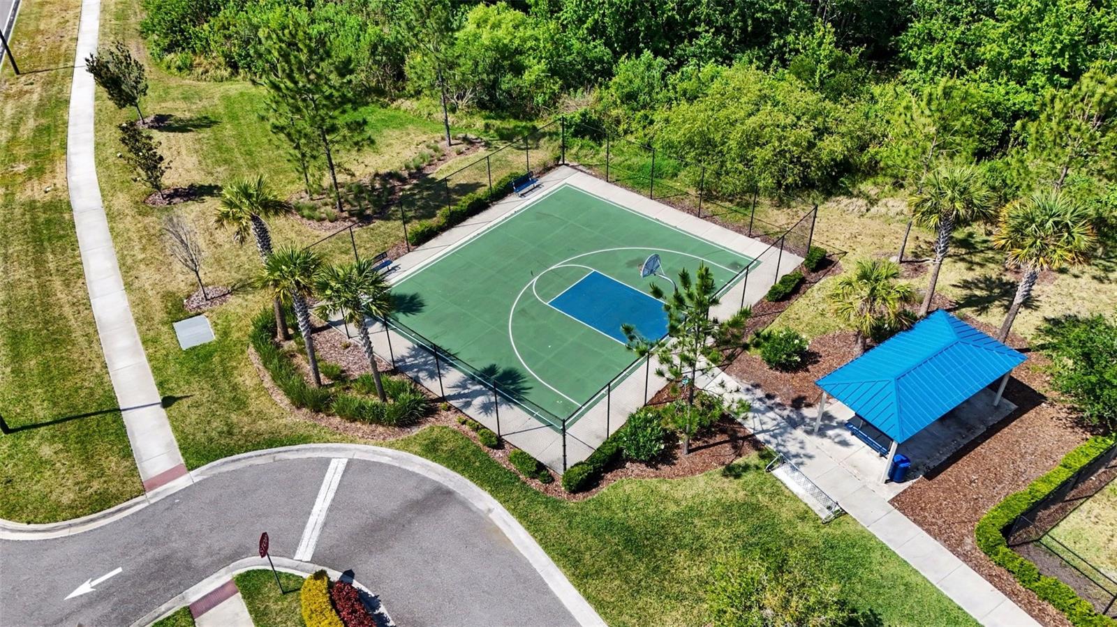 3296 SUNCOAST PLAINS DR — photo 34