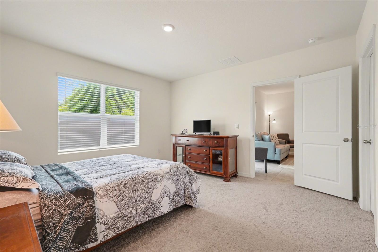 3296 SUNCOAST PLAINS DR — photo 17