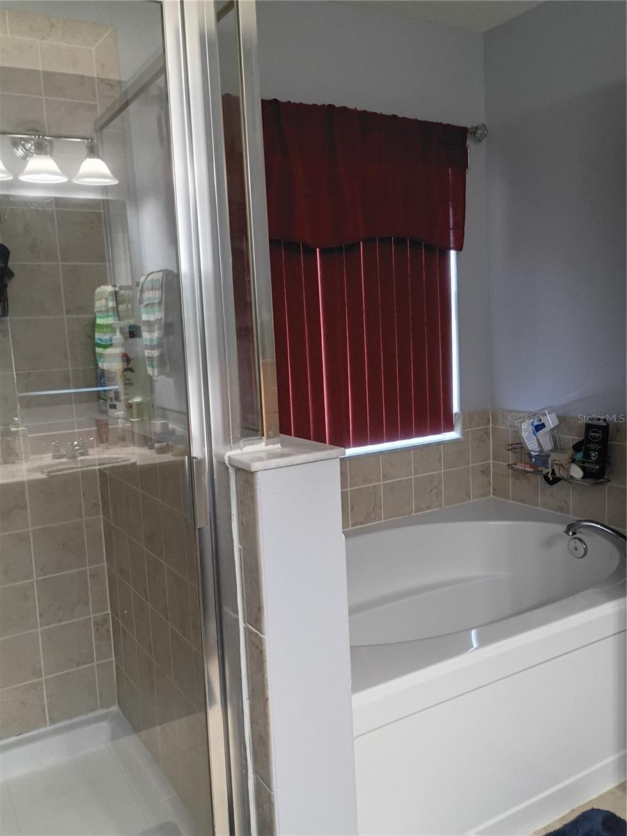 5220 BUTTERFLY SHELL DR — photo 17