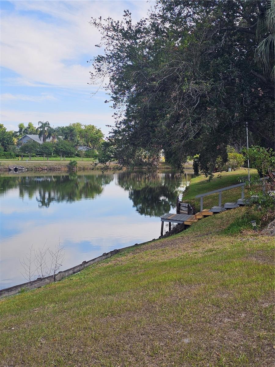 3235 BUCKHORN DR — photo 49