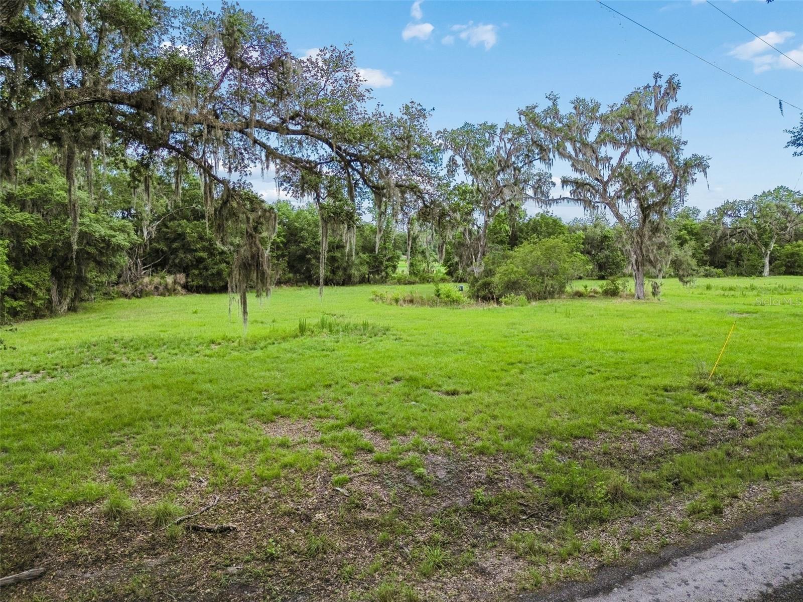 000 PALOMINO LAKES DR — photo 7