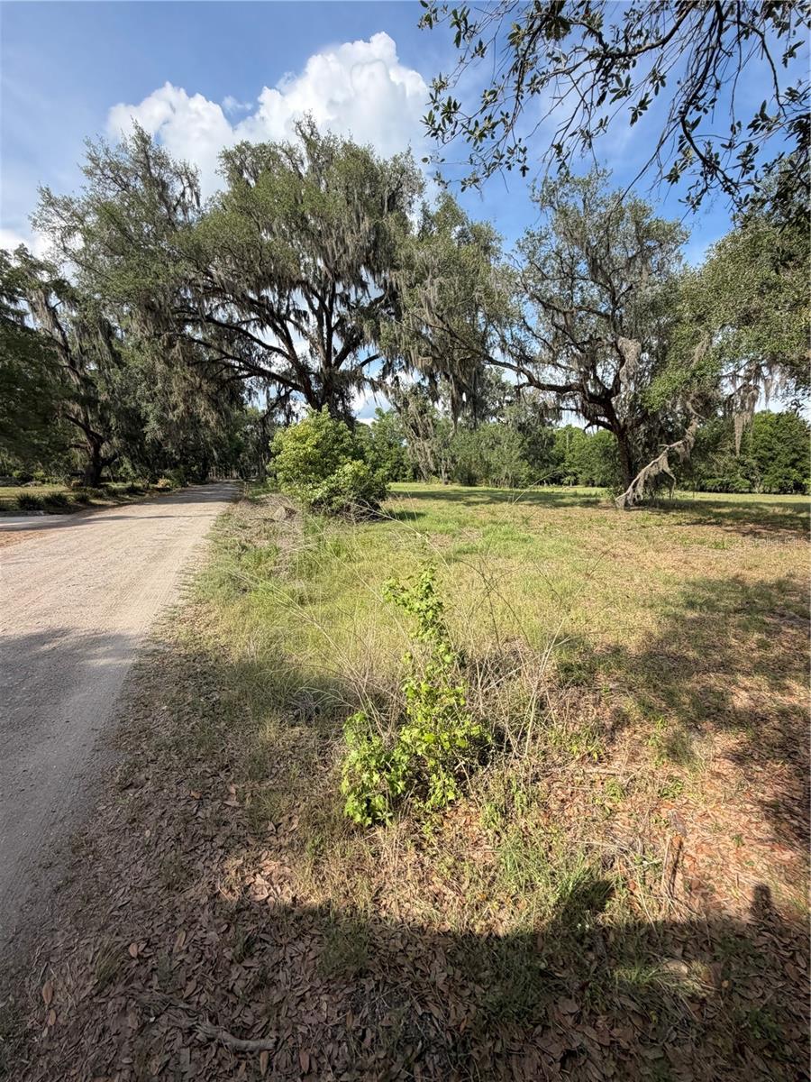 000 PALOMINO LAKES DR — photo 21