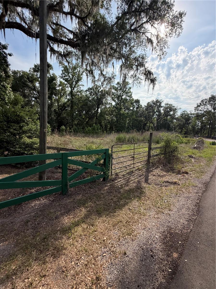 000 PALOMINO LAKES DR — photo 14