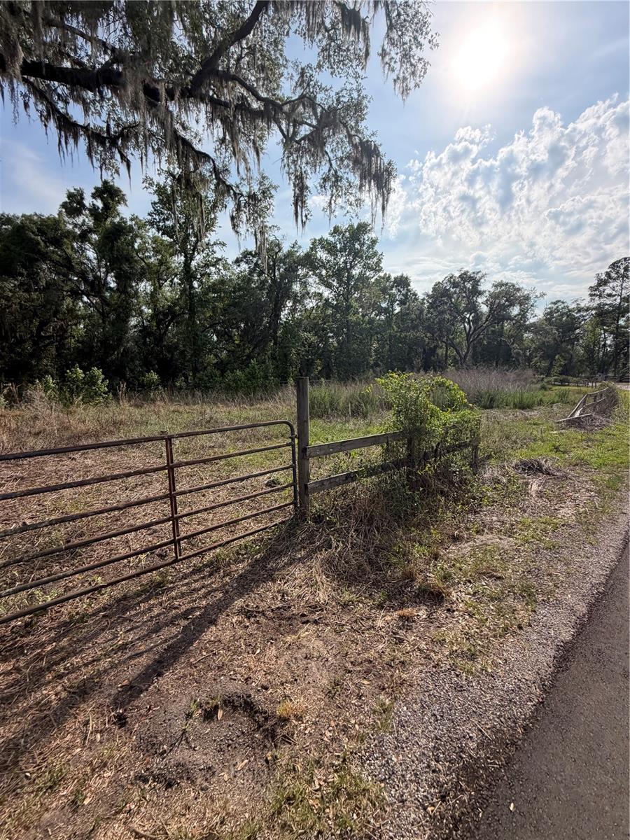 000 PALOMINO LAKES DR — photo 19