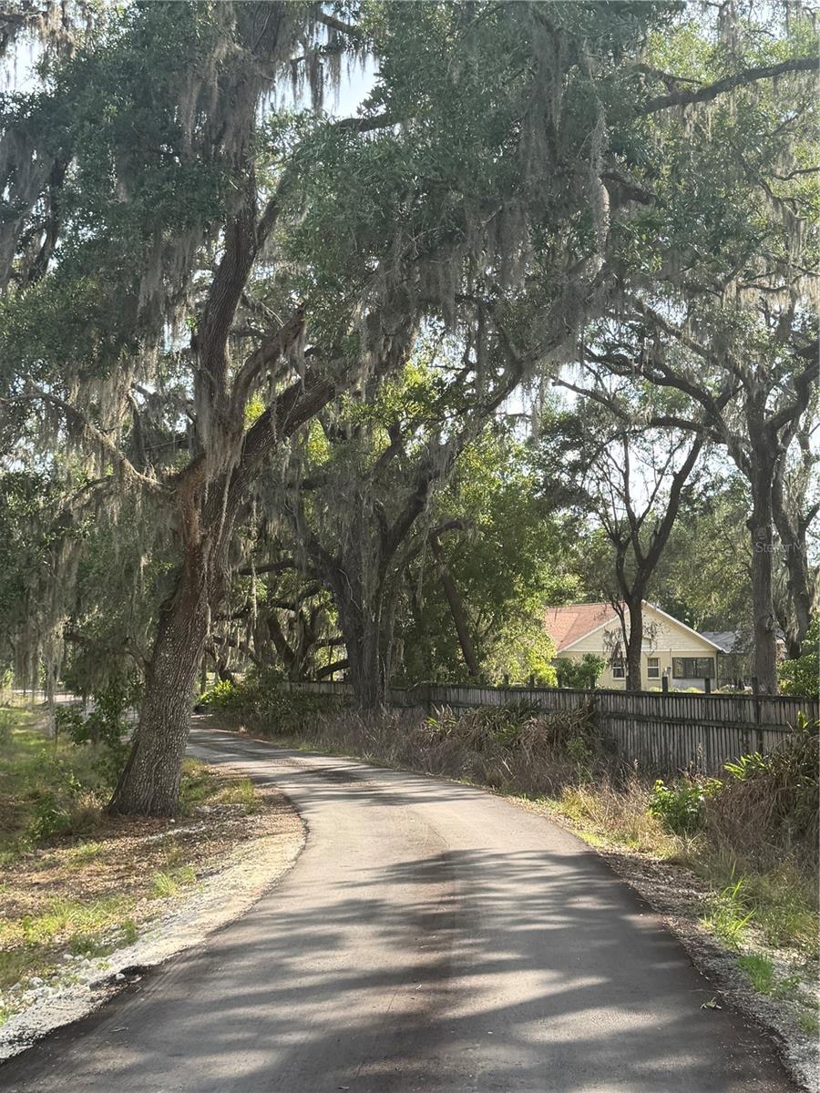 000 PALOMINO LAKES DR — photo 17