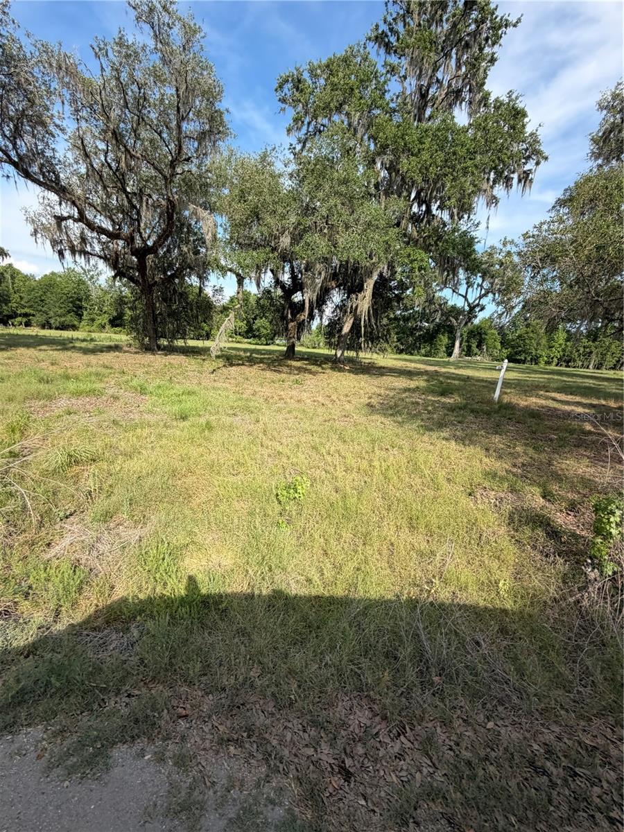 000 PALOMINO LAKES DR — photo 20