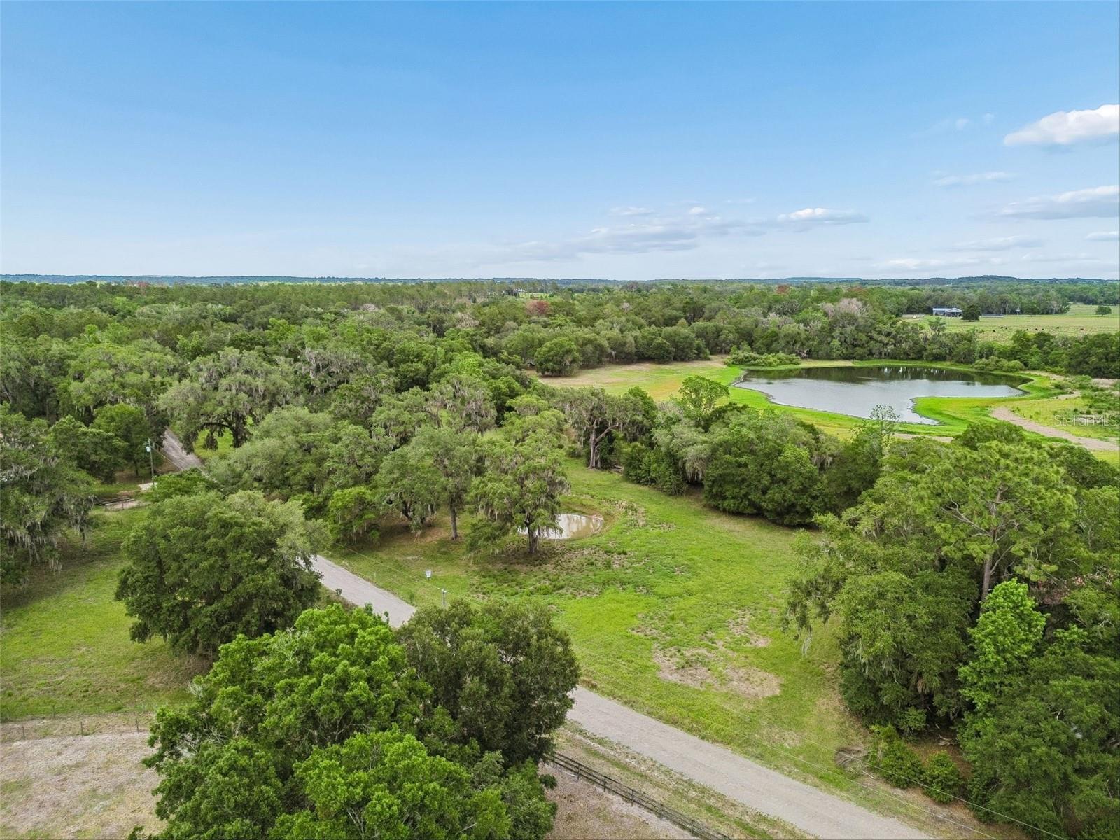 000 PALOMINO LAKES DR — photo 6