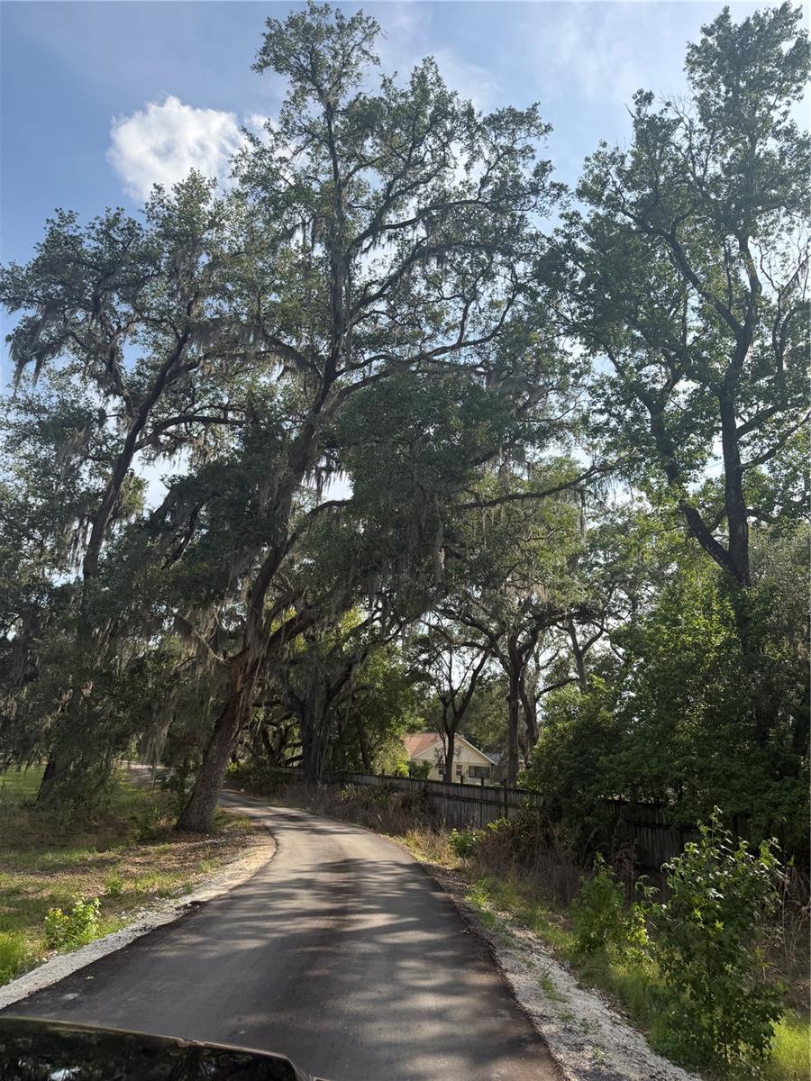 000 PALOMINO LAKES DR — photo 16