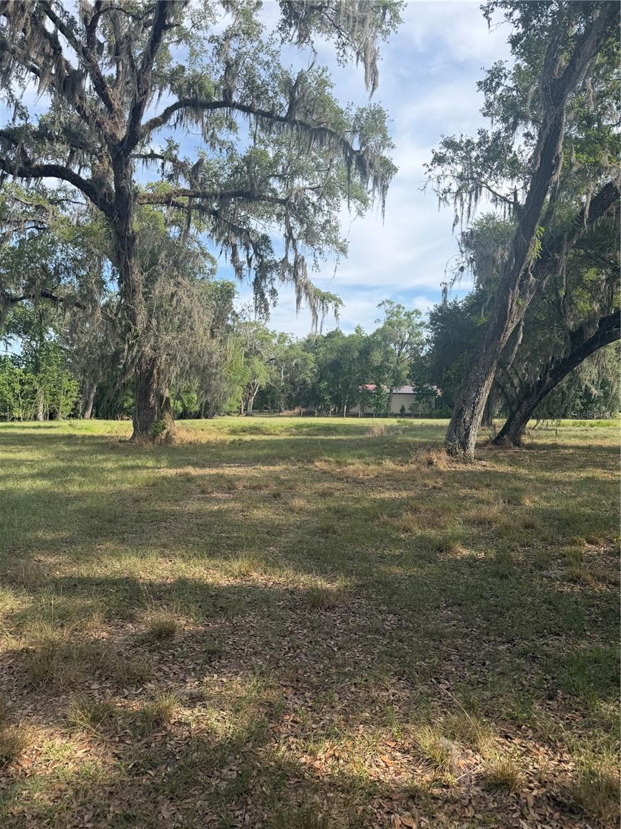 000 PALOMINO LAKES DR — photo 9