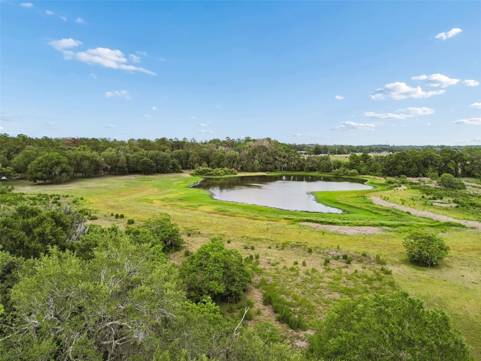 000 PALOMINO LAKES DR — photo 4