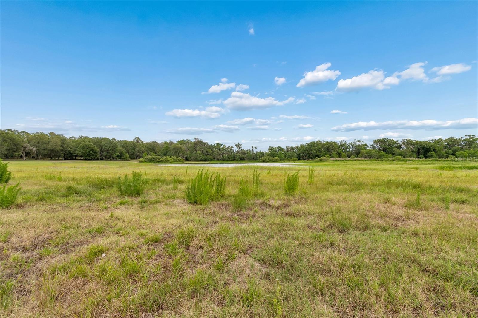 000 PALOMINO LAKES DR — photo 34