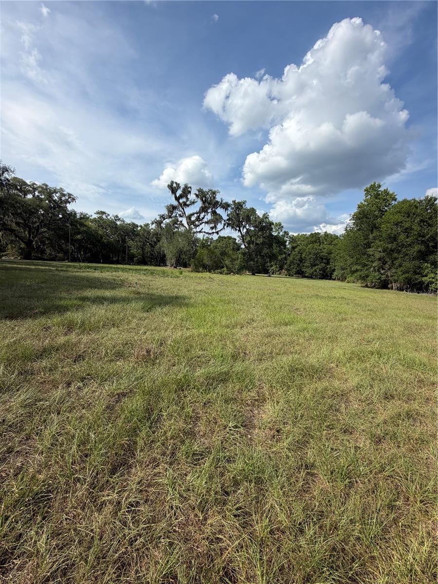 000 PALOMINO LAKES DR — photo 23