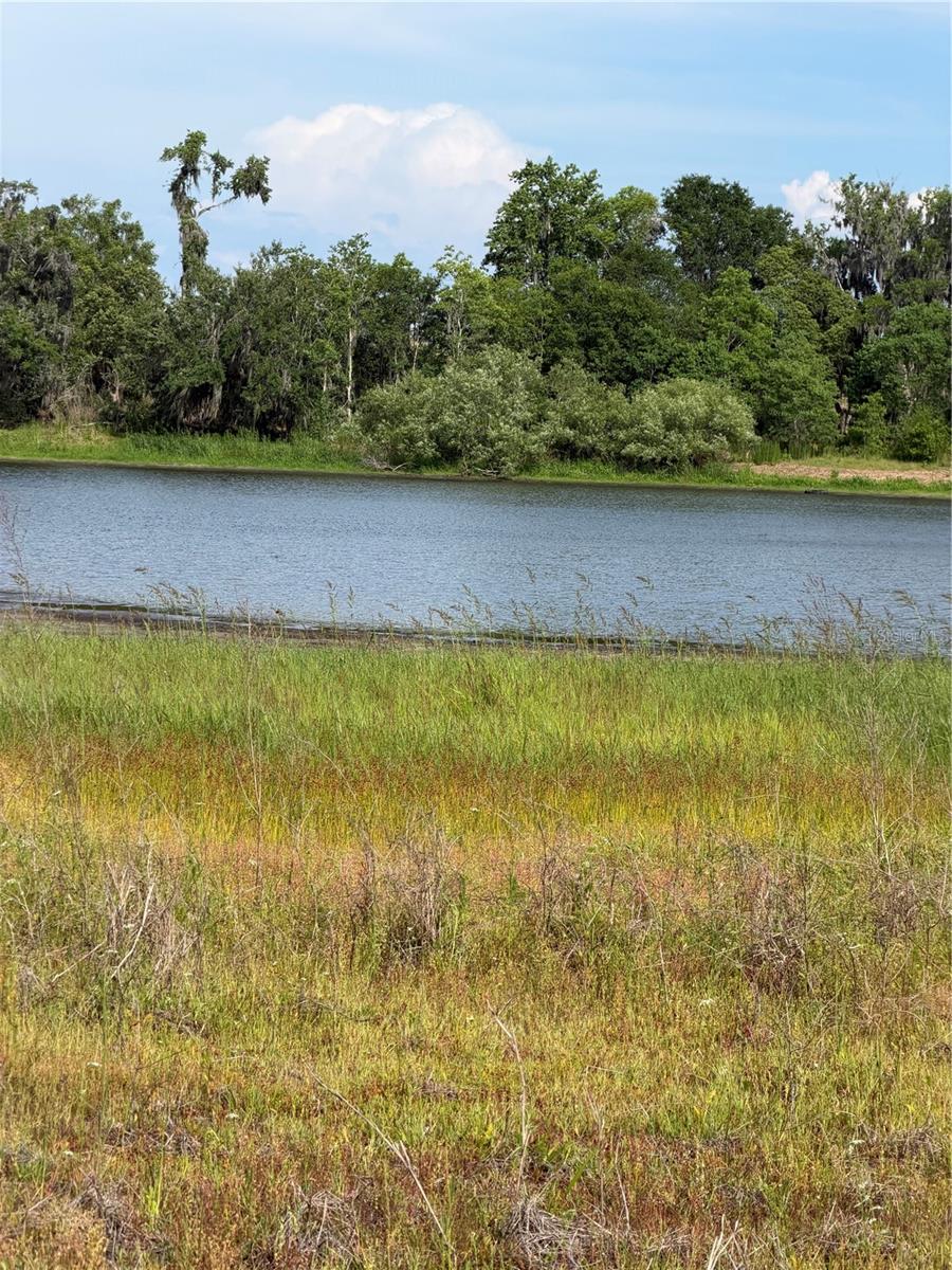 000 PALOMINO LAKES DR — photo 26
