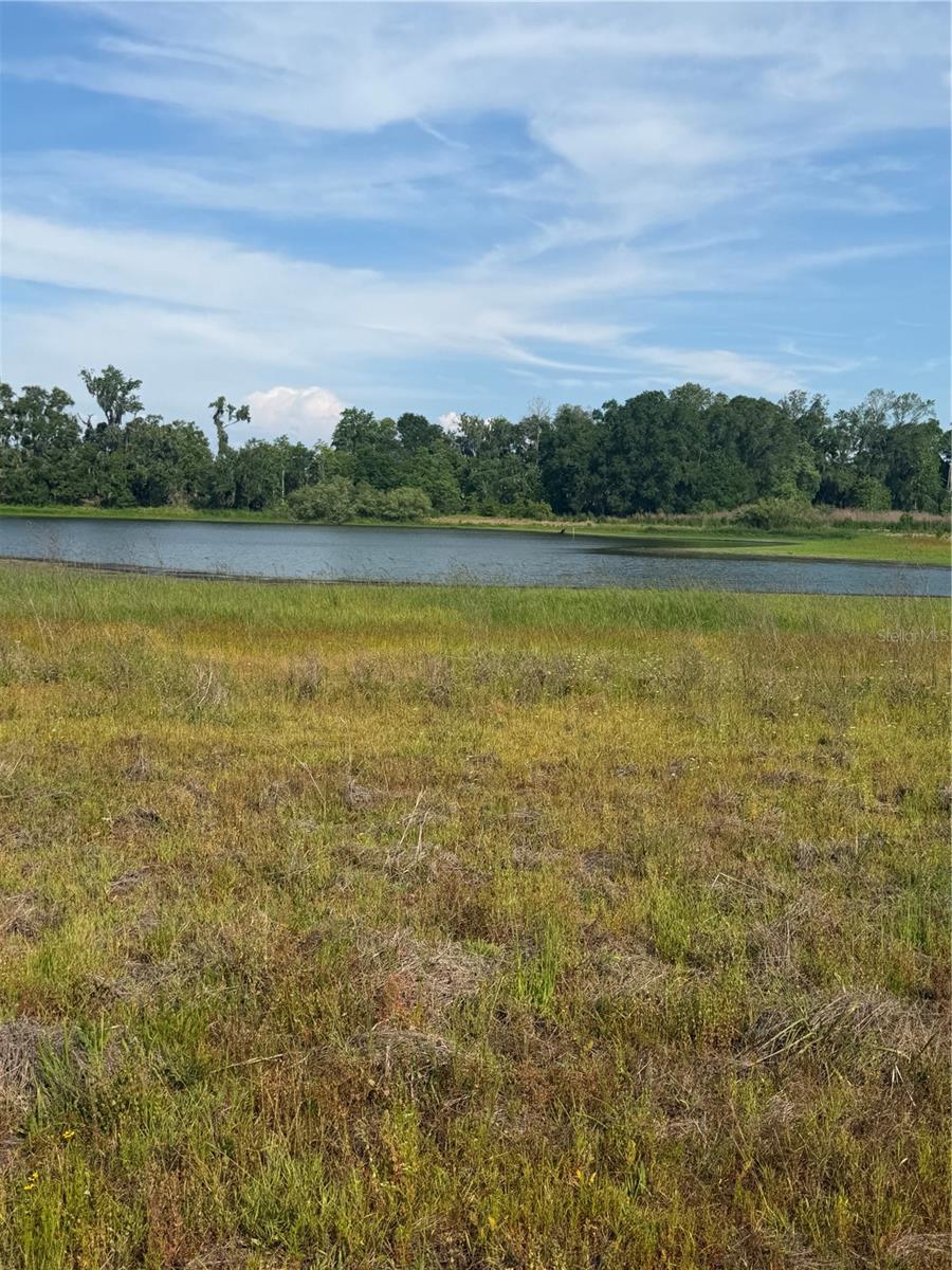 000 PALOMINO LAKES DR — photo 27