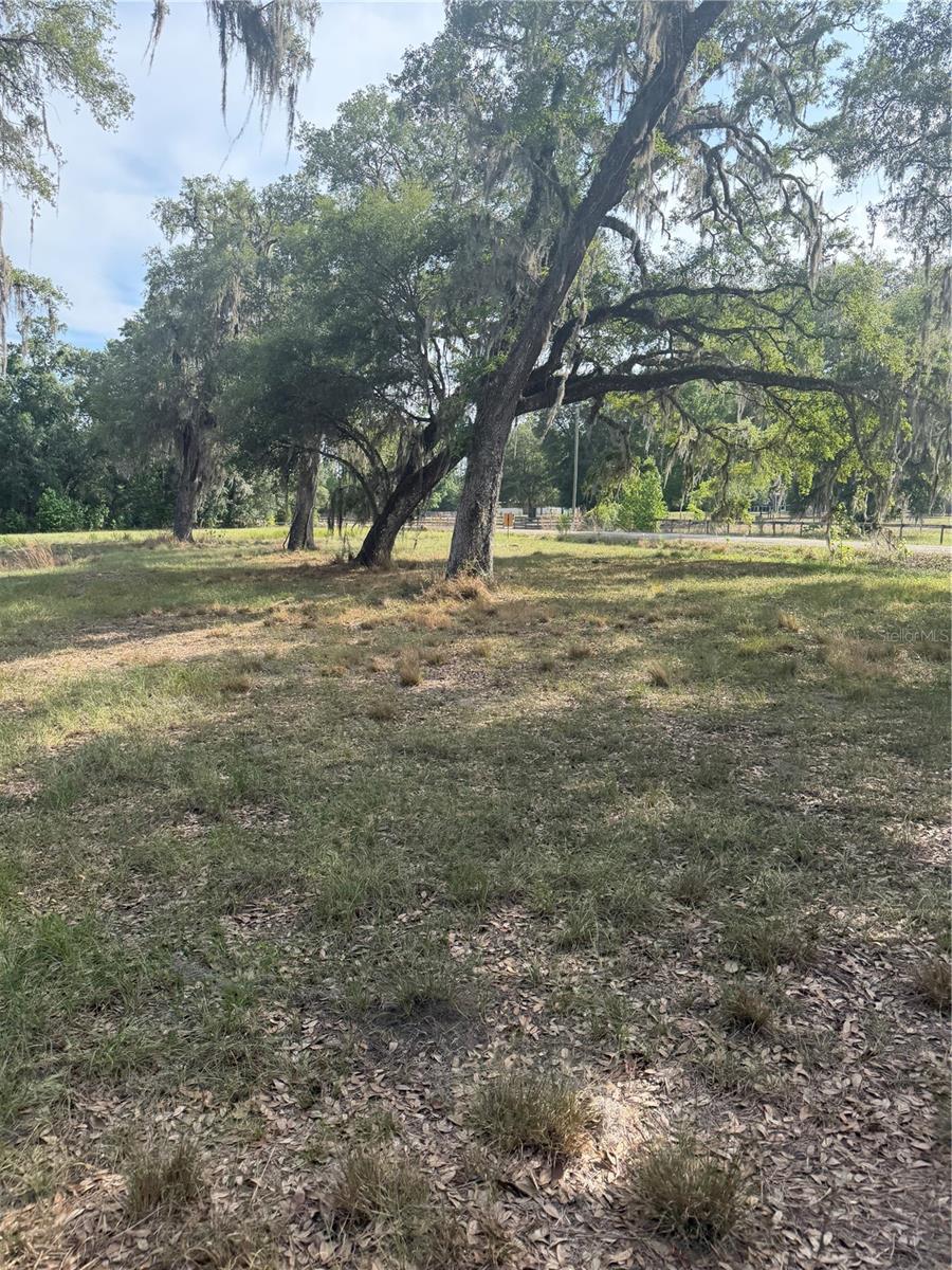 000 PALOMINO LAKES DR — photo 25