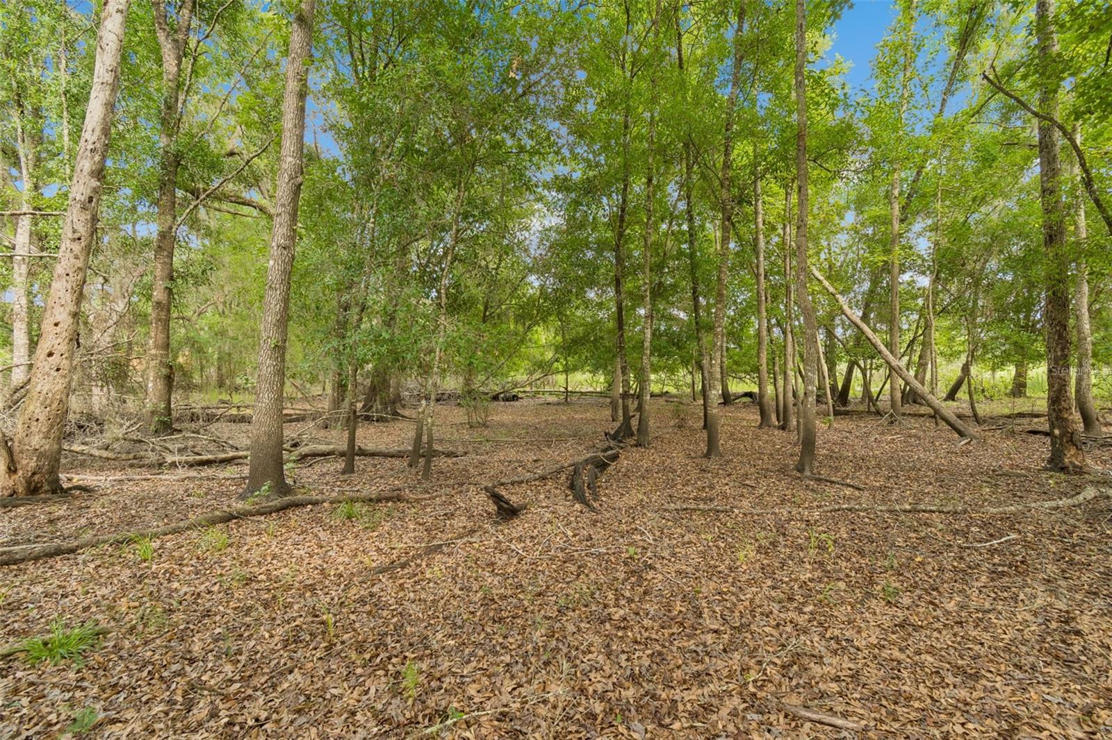 000 PALOMINO LAKES DR — photo 8