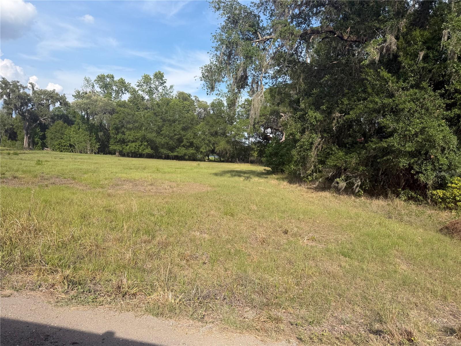 000 PALOMINO LAKES DR — photo 13
