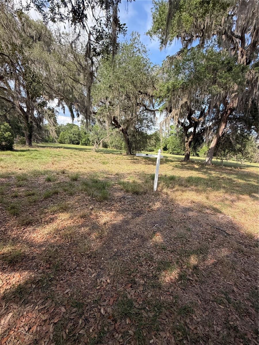 000 PALOMINO LAKES DR — photo 22