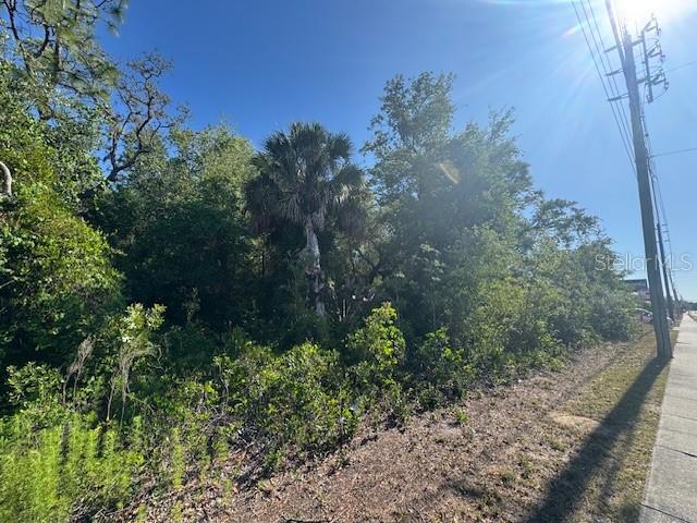 10331 STATE ROAD 52 — photo 4