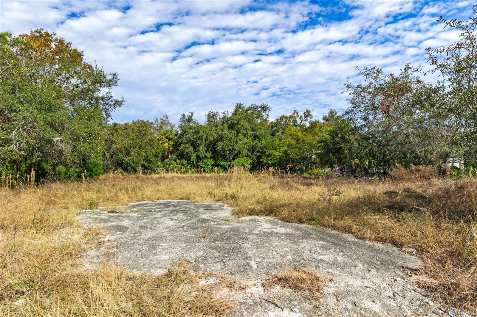 10331 STATE ROAD 52 — photo 15