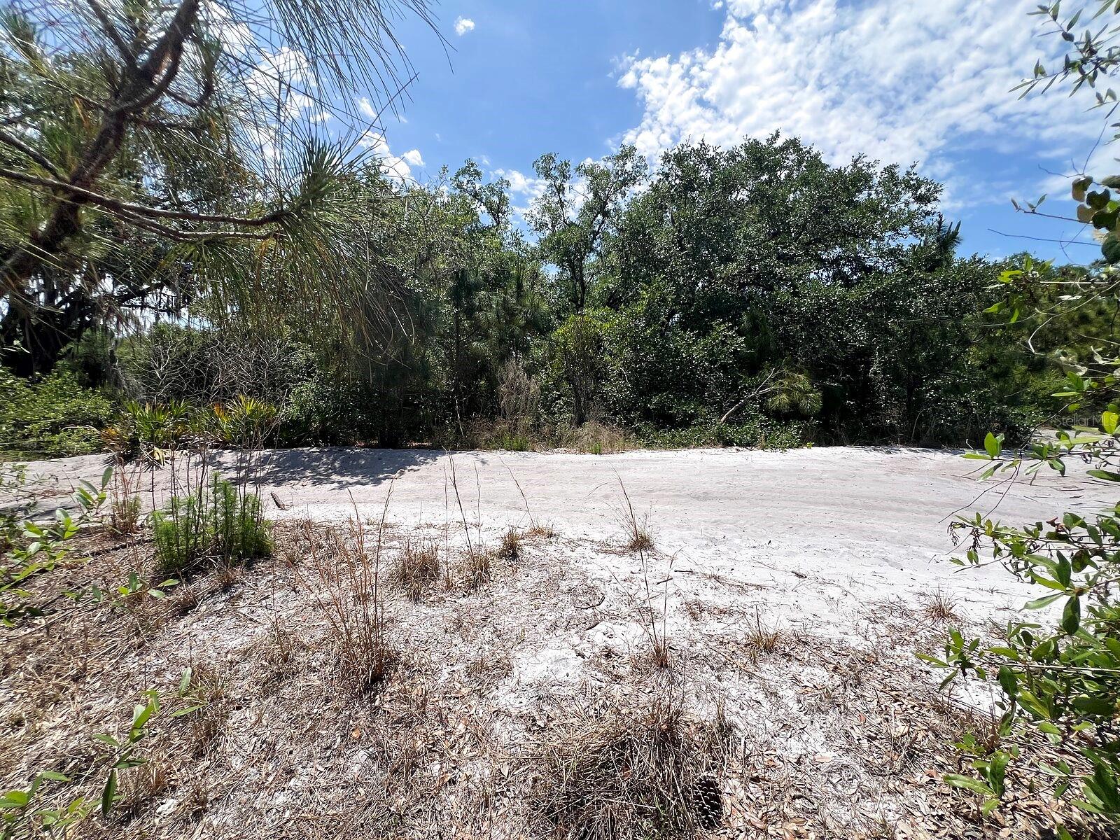 HAMER TER #Lot 25 — photo 6