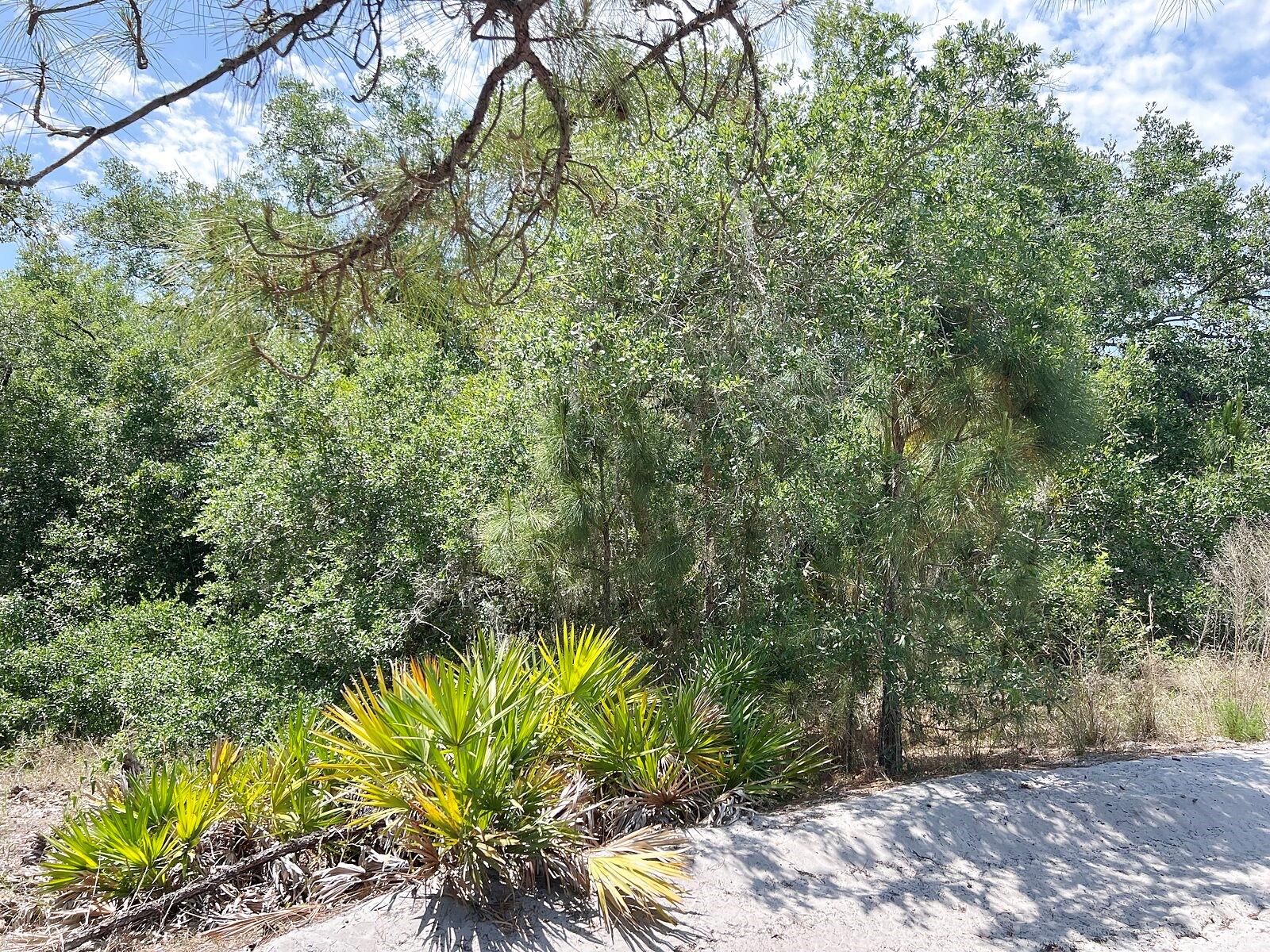 HAMER TER #Lot 25 — photo 8