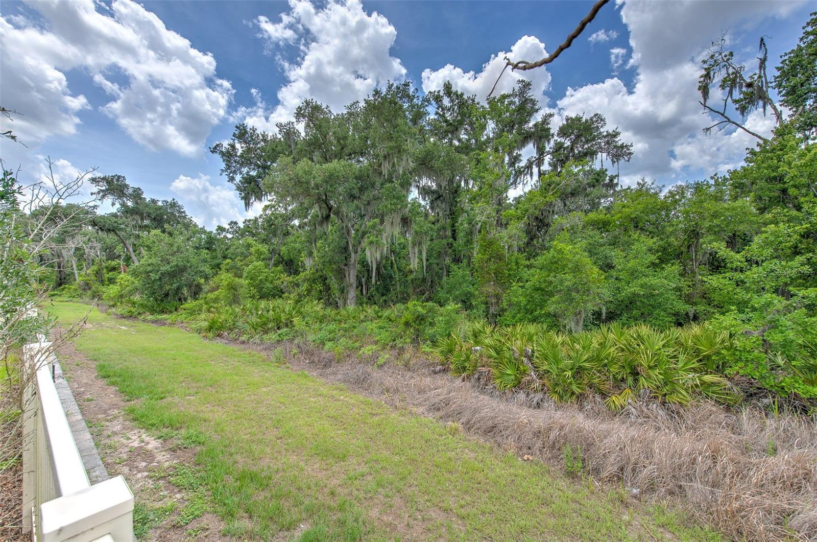 17334 WHITE MANGROVE DR — photo 25