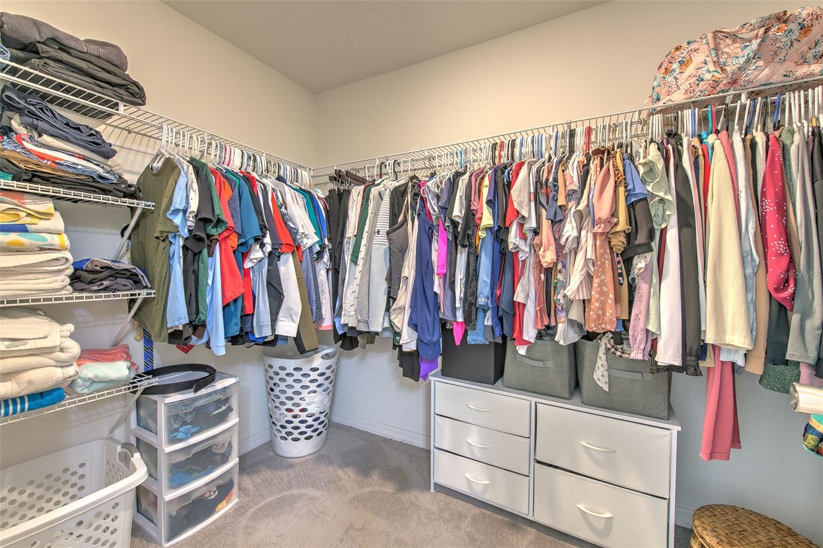 17334 WHITE MANGROVE DR — photo 19
