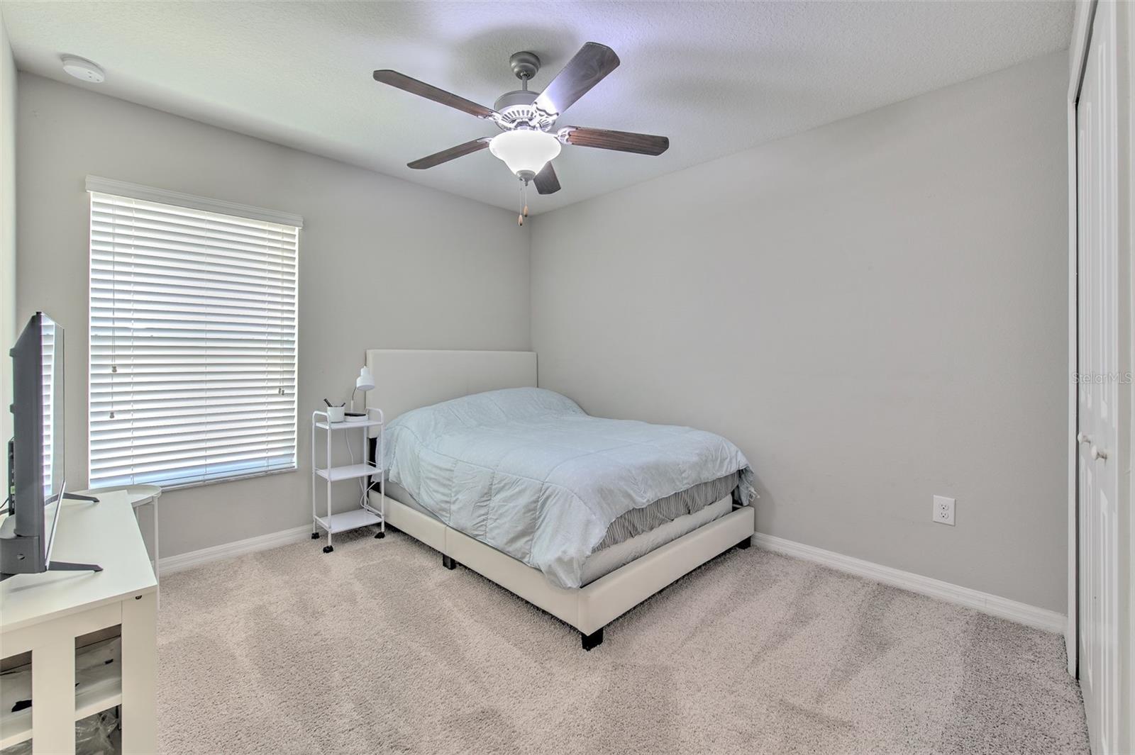17334 WHITE MANGROVE DR — photo 15
