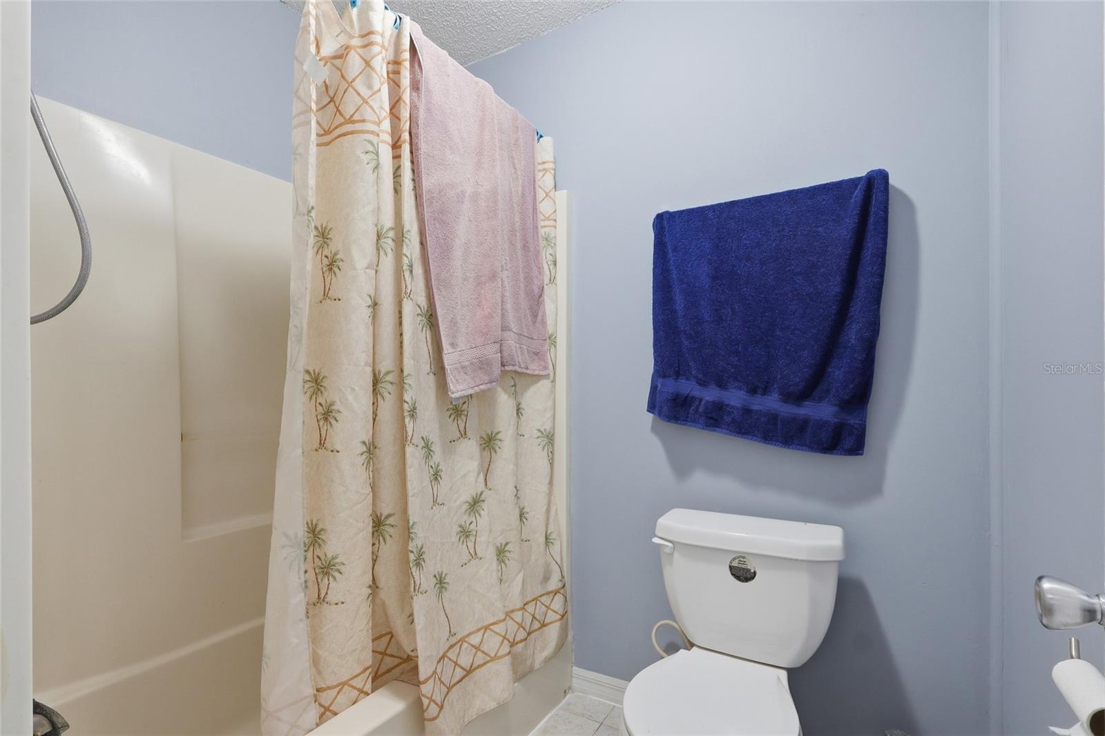 Home in RIVERVIEW — photo 15