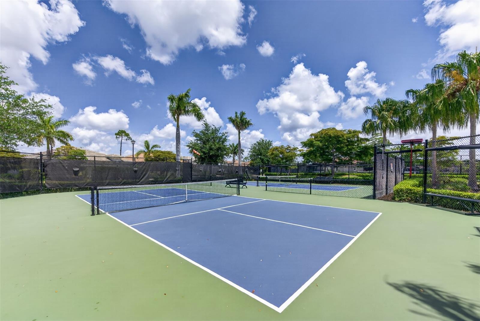 20458 BANDERA PL — photo 47