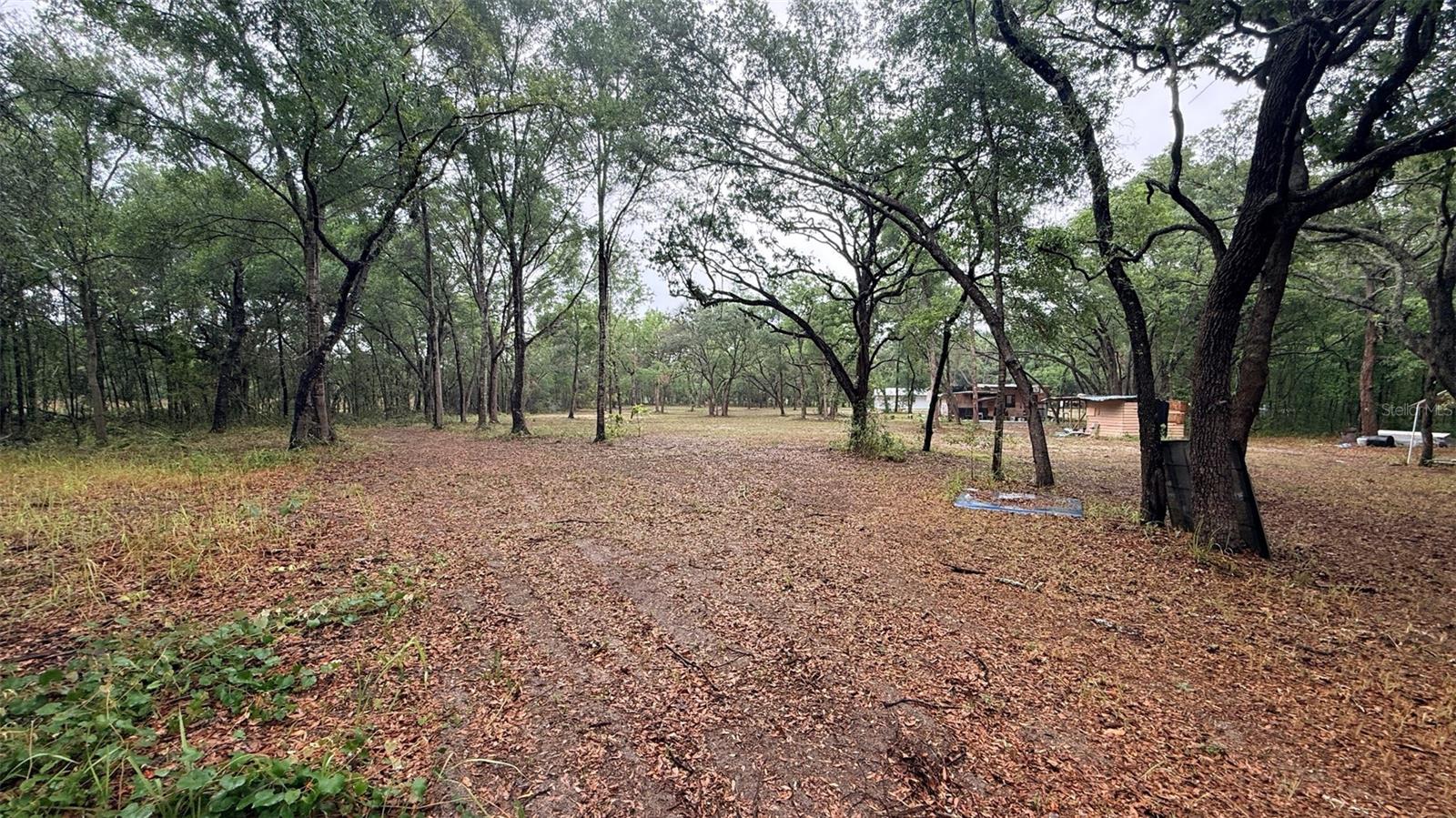 15535 LITTLE RANCH RD — photo 46