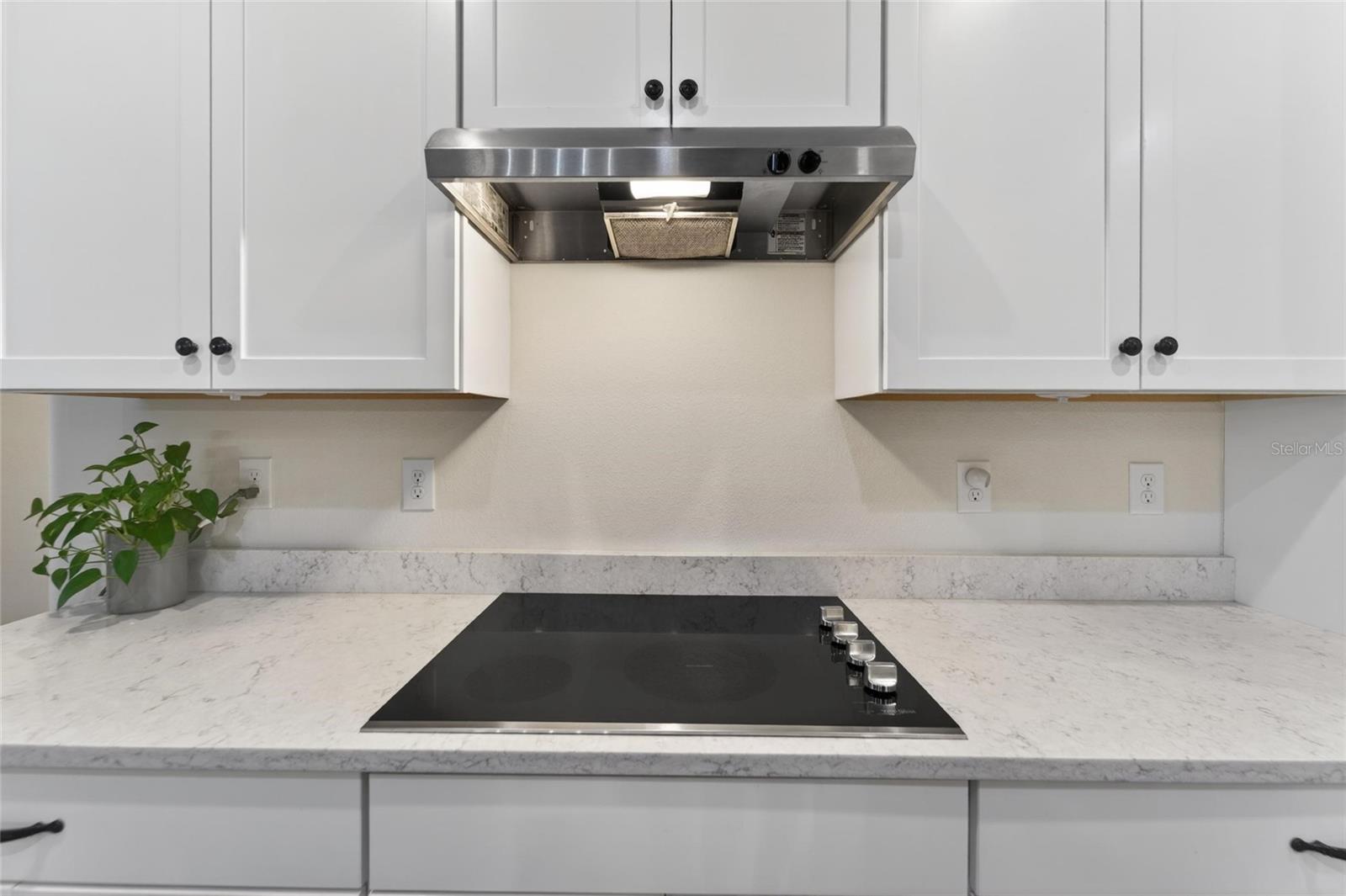 13017 SATIN LILY DR — photo 10