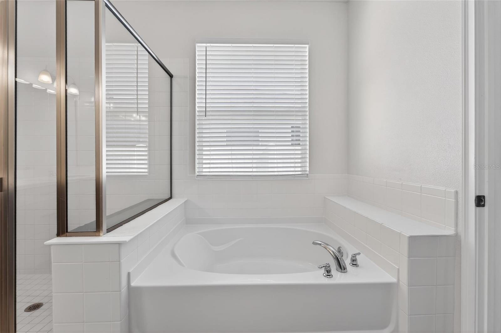 13017 SATIN LILY DR — photo 29