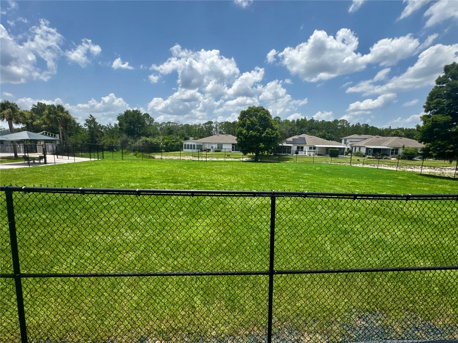 1033 BLACKWATER DR — photo 52