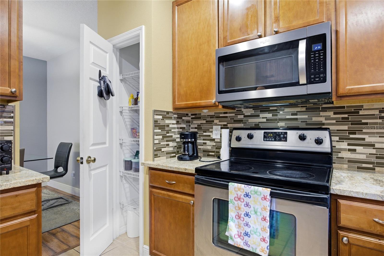1033 BLACKWATER DR — photo 8
