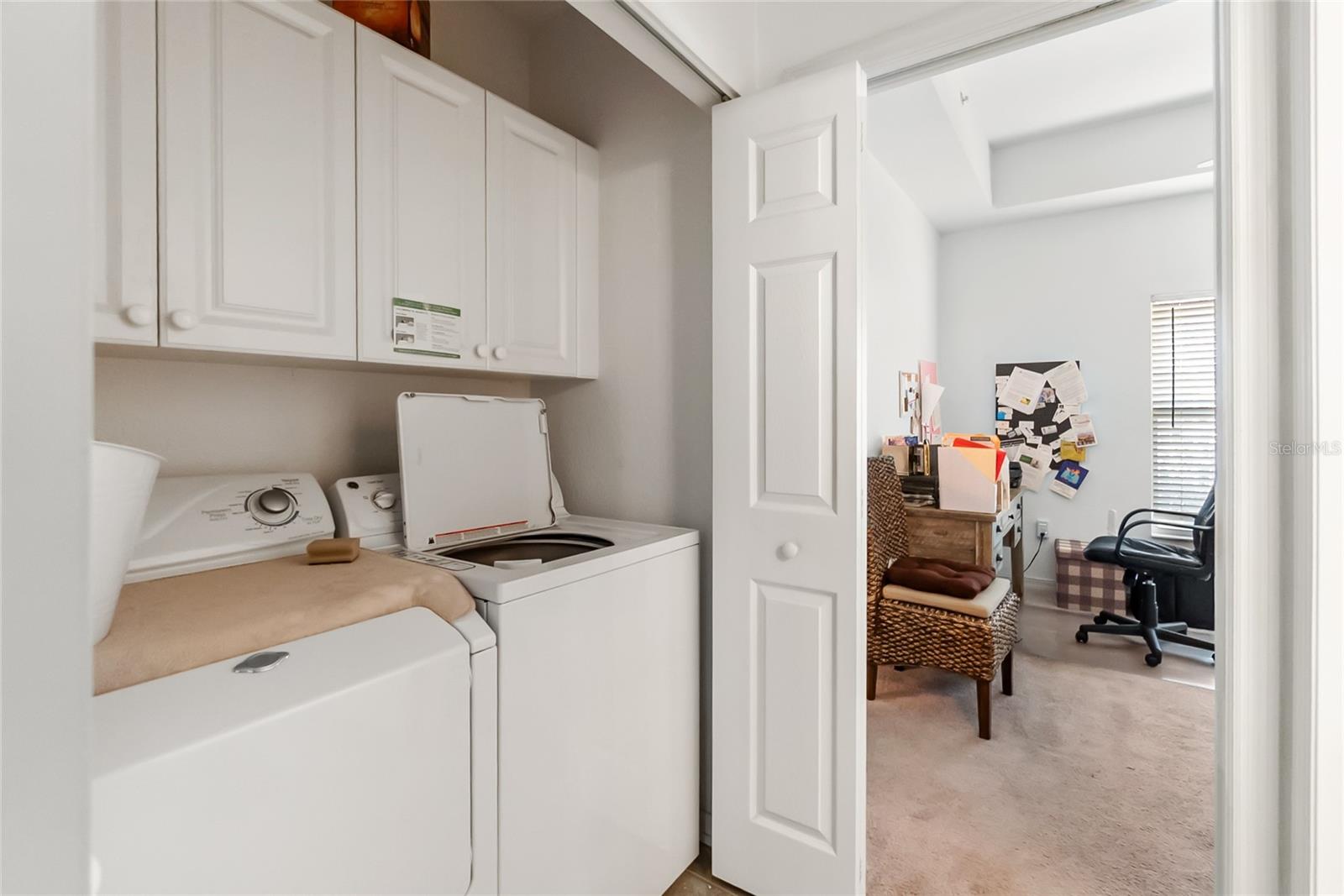 7343 FOUNTAIN PALM CIR #na — photo 20